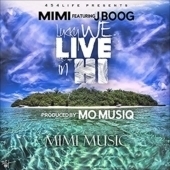 mimi_jboog_Lukkywelivehi_hawaiian.jpg
